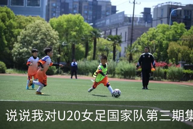 说说我对U20女足国家队第三期集训大名单的看法
